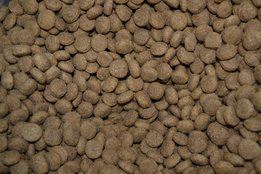 Lam & Rijst Medium 15 kg